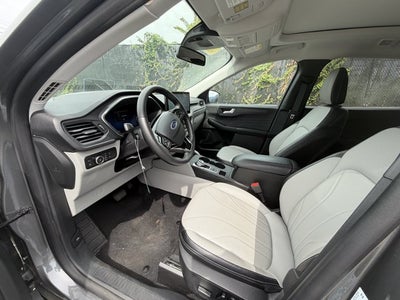 2025 Ford Escape PHEV (Manager's Demo)