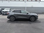 2025 Ford Escape PHEV (Manager's Demo)