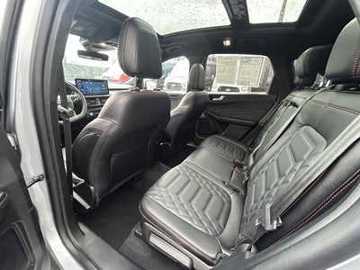 2023 Ford Escape ST-Line Elite