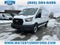 2026 Ford Transit Cargo Van Medium Roof