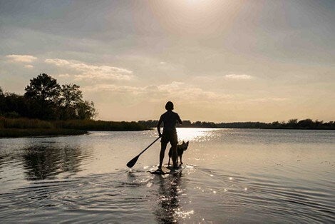  Watertown Ford in Watertown MA